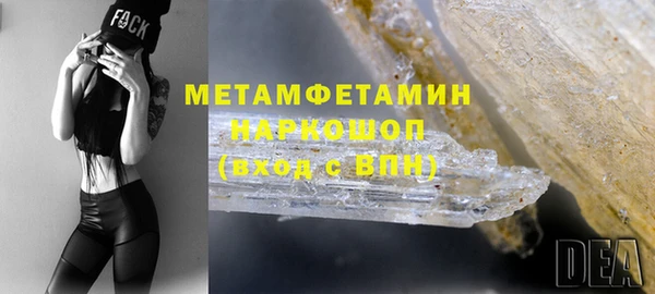 ПСИЛОЦИБИНОВЫЕ ГРИБЫ Пересвет