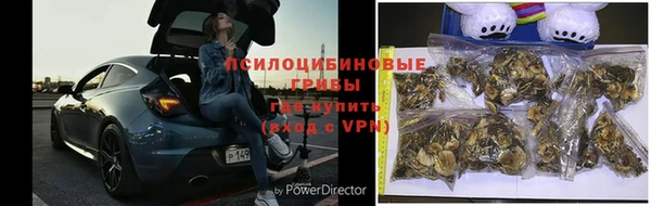 метадон Пестово