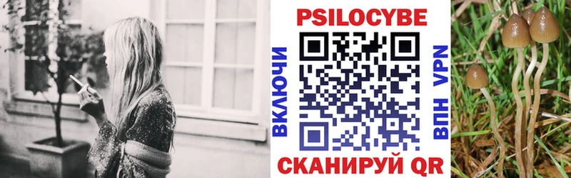 Псилоцибиновые грибы Magic Shrooms  Купить  Сольвычегодск 